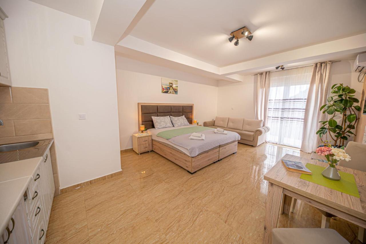 Skadar Pajovic Apartment Virpazar
