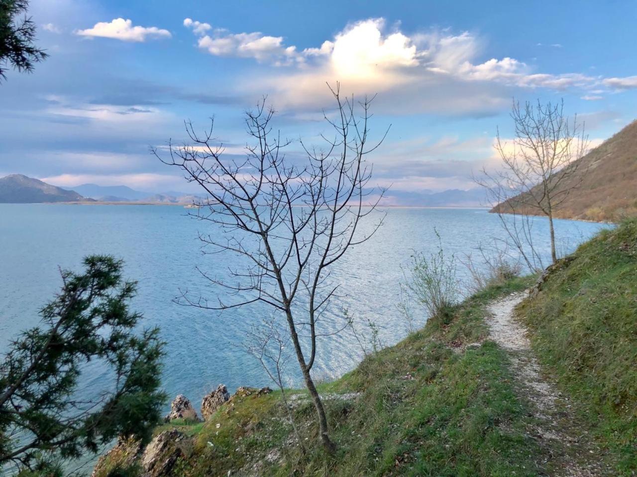 Skadar Pajovic *