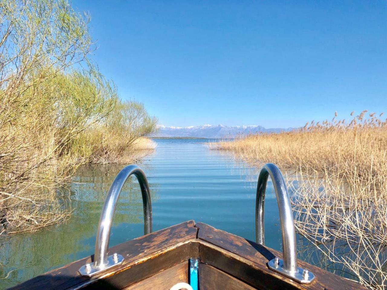 Skadar Pajovic * וירפזאר