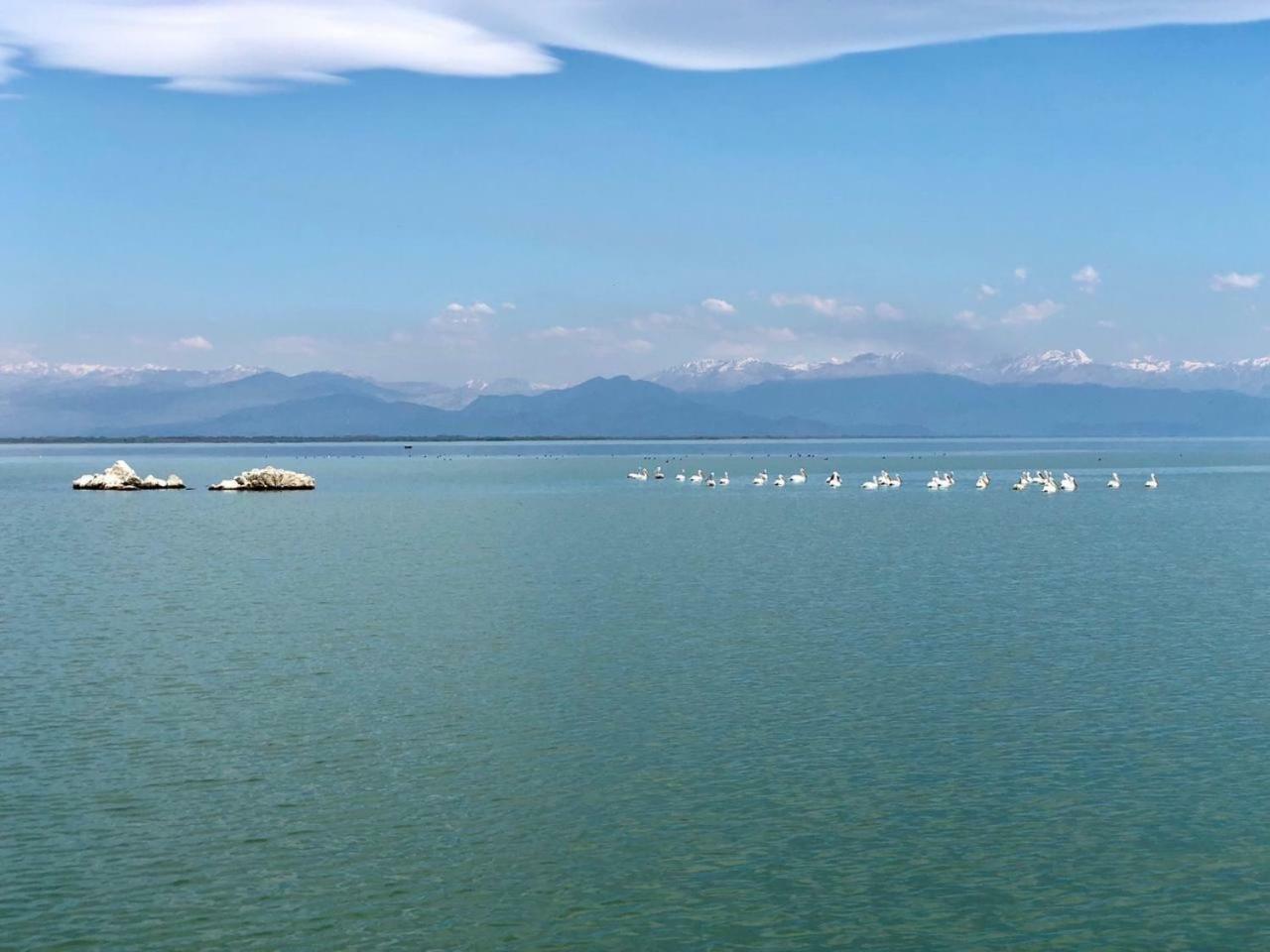 Skadar Pajovic Apartment